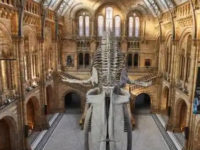 The Perfect Summer To Visit UK Museums?