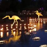 The Pandemic Has Shown Us That We Need A Lot More Art