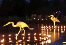 The Pandemic Has Shown Us That We Need A Lot More Art