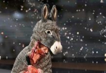 French Actor Wears A Donkey Costume Soaked In Fake Blood, And Then Strips, At The Cesars