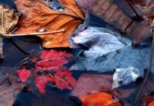 Memoirs Tell Us What We Don’t Know About The People We Know