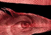 The Guy Who Possibly Found The Author Of Shakespeare’s Source Material For Hamlet