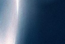 When Real Tragedy Strikes, What Can Criticism Do?