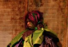 Disabled Performing Artists Are Imagining New Worlds On – And Off – Stage