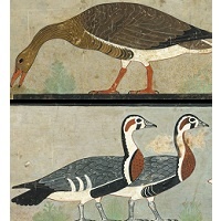 What Was ‘The Mona Lisa Of Ancient Egypt’? A Gaggle Of Geese