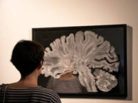 How We’ll Know If An AI Develops Consciousness