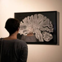 How We’ll Know If An AI Develops Consciousness