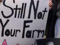 Reckoning: The Treatment Of Women In Ballet