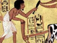 How Our Concept Of Work Has (Is) Evolved