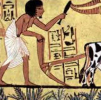 How Our Concept Of Work Has (Is) Evolved