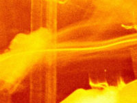 Most People Think In Images. I Think In Sound