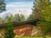 Community College Enrollment Plunges