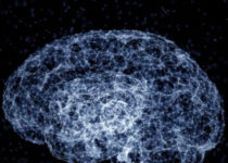 What Should We Expect From Artificial Intelligence?