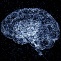 What Should We Expect From Artificial Intelligence?
