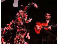 Dive Bars That Are Backbone Of Spain’s Flamenco Scene Are Getting Wiped Out By COVID