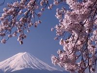 Even Japanese Poetry Is Getting Messed Up By Climate Change