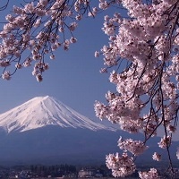Even Japanese Poetry Is Getting Messed Up By Climate Change