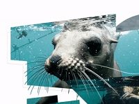 Nature Documentaries Are A Lot More Like Porn Than You’d Like To Think