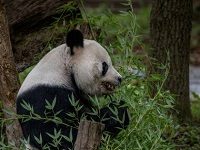 Smithsonian Holds Off On Reopening Its Museums