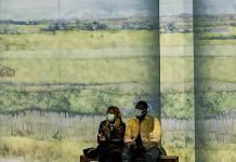 Immersive Van Gogh Is A Hit. But Which One?