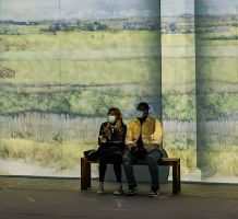 Immersive Van Gogh Is A Hit. But Which One?