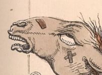 What Our Comparisons Of Humans To Animals Say About Us