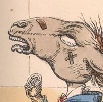 What Our Comparisons Of Humans To Animals Say About Us