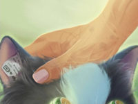 Can Robots Help Ease Loneliness?