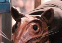 We Need Unconventional Art Now More Than Ever