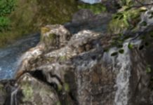 During Covid, Geology Students Still Did Fieldwork – Via Video Game