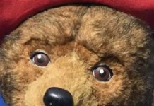 The ‘Paddington 2’ Stranglehold On Rotten Tomatoes Is Over