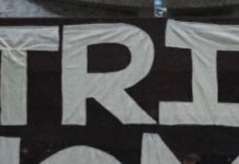 Could Museums Become Like Libraries?