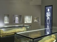 Should Arts Organizations Draw More From Their Endowments To Get Through The Pandemic? In Canada, The Argument Heats Up