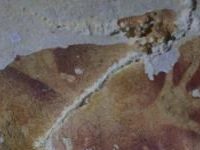 World’s Oldest Cave Art Is Being Damaged By Climate Change