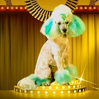 Why ‘The Great British Baking Show’, ‘Project Runway’, And Other Reality TV Competitions Have Been The Hits Of The COVID Era