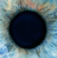 Study: The Size Of Your Eyes’ Pupils Correlates With Intelligence