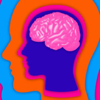 Sorry — The Brain Is Not A Muscle That Grows Stronger With Use