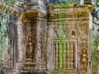 How Ancient Jungle Cities Kept Reinventing