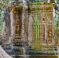 How Ancient Jungle Cities Kept Reinventing