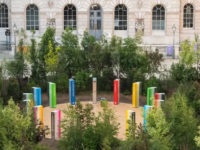 Taking A Turn At The Culture Of Trees