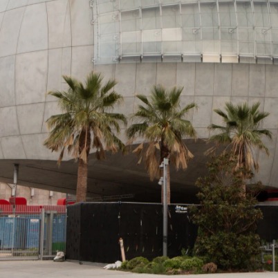 The Motion Picture Museum’s Timing Was Unlucky – And Very Lucky