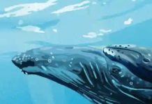 The Writers Trying To Save The World Through Fiction