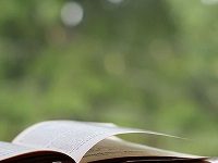 Why We Should All Love Epigraphs