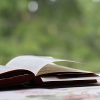 Why We Should All Love Epigraphs
