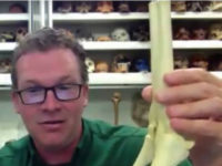 How Ancient Humans Adapted To Be Smart