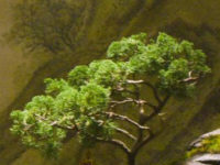 Let’s Talk About Green Things In Movies (Fascinating)