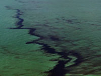 Extraordinary Times: Smithsonian Natural History Museum Turns To Art To Demonstrate Climate Change