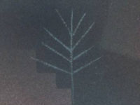 Our Loftiest Ideas Are Rooted In Practical Needs