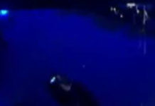 Buying Culture? Unopened Super Mario Brothers Game From 1986 Sells For $1,56 Million