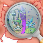 Study: Gut Bacteria In Boys Linked To Heightened Brain Cognition